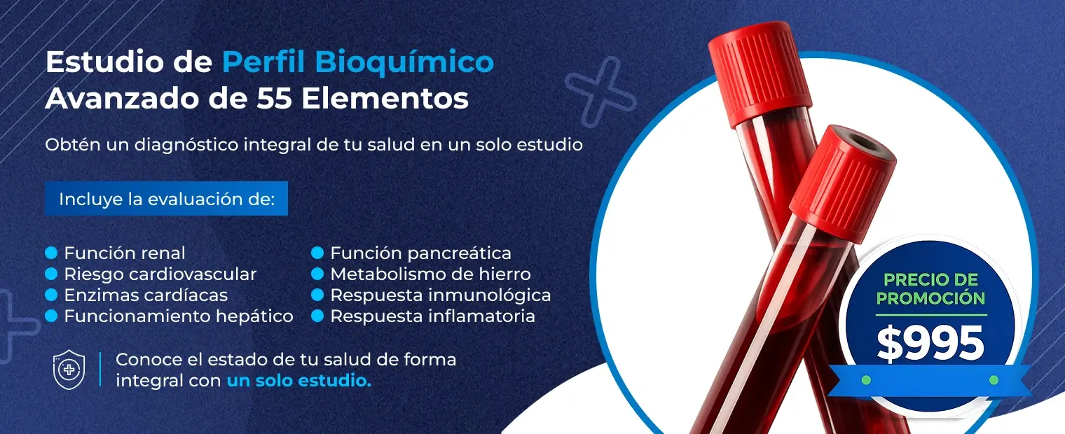 Perfil bioquímico